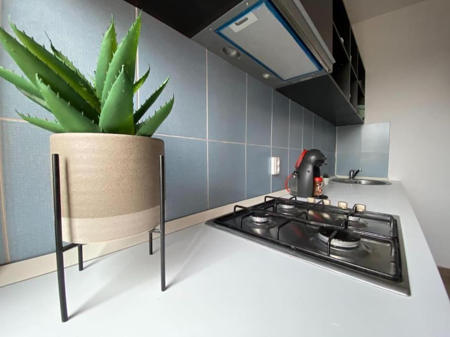 Kara'S Apartment บูคาเรสต์ ภายนอก รูปภาพ